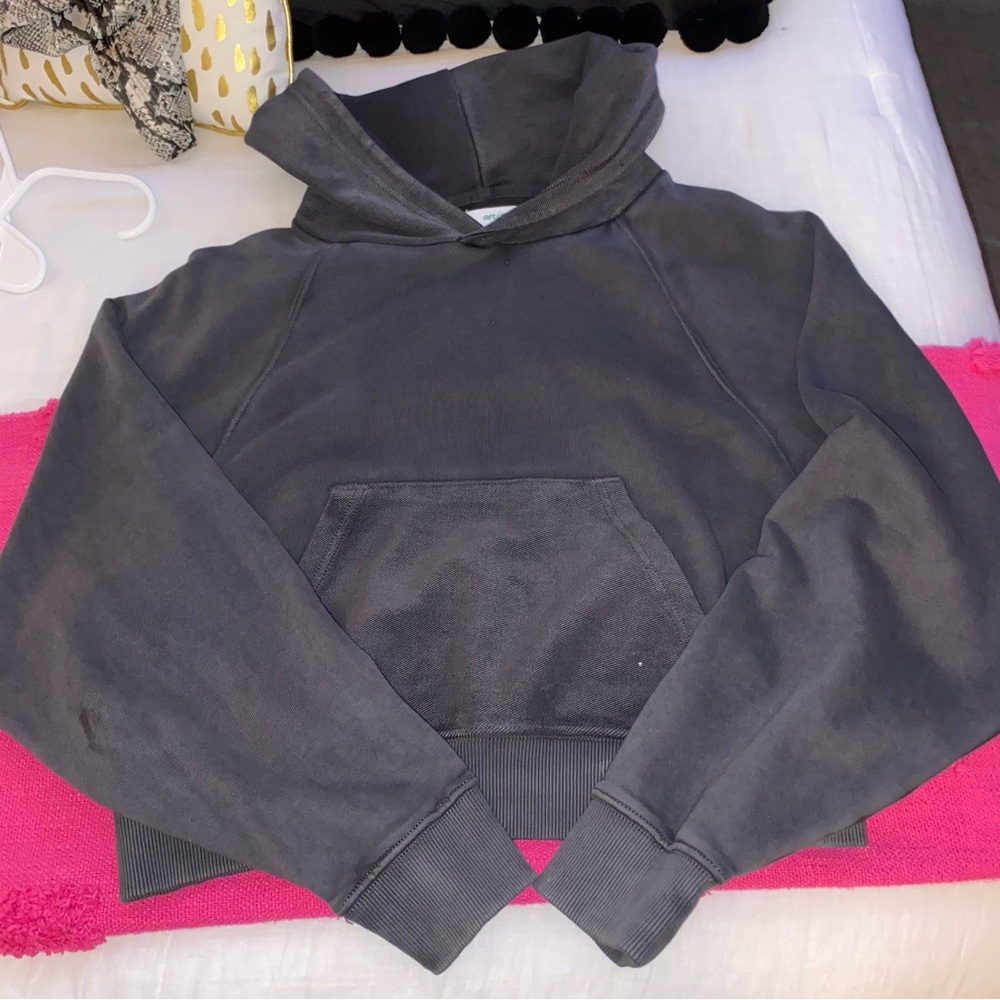 Aerie Cropped Hoddie